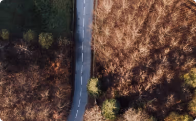 Large bright yellow pipes dominate the composition.