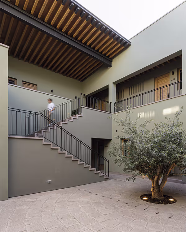 Patio del hotel Casa Aranzazu, con un árbol y escaleras.