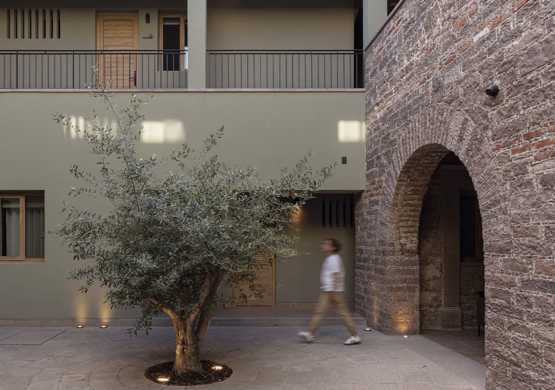 Vista del patio del hotel Casa Aranzazu y su icónico árbol de olivo.