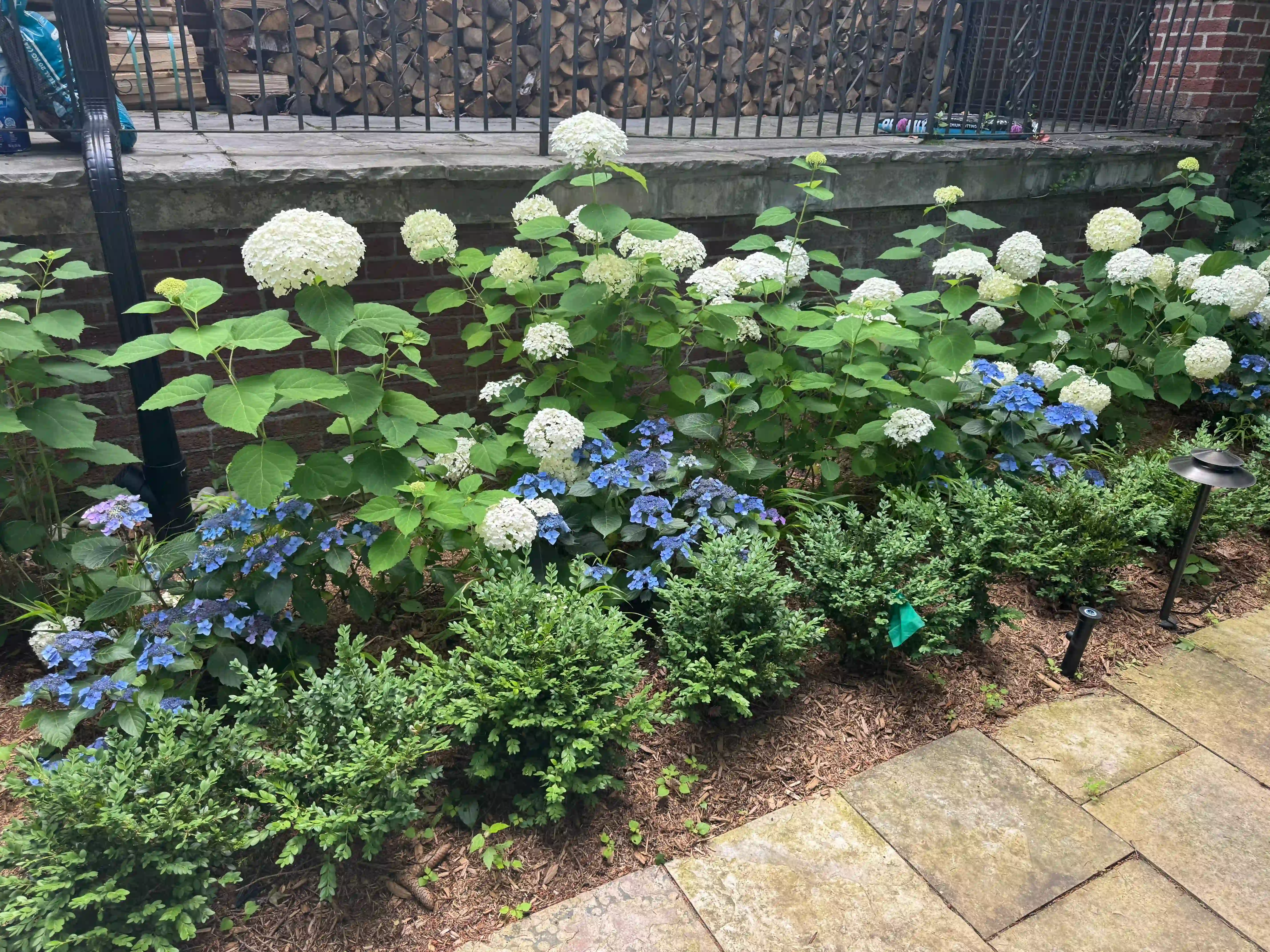 fabulous flora gardening project