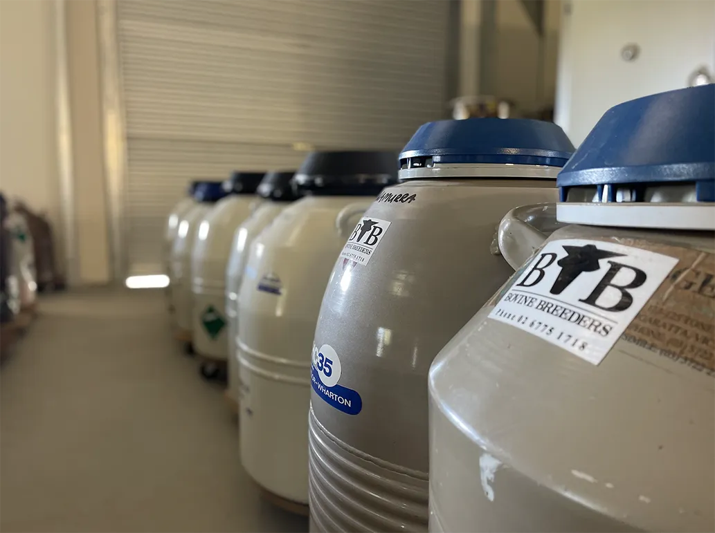 Row of large beige containers with blue lids labeled 'Bovine Breeders' in an indoor storage facility.