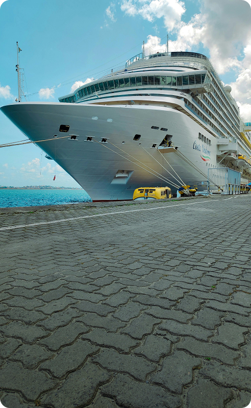 cruise