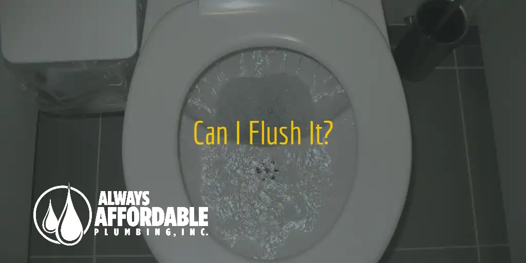 Save Your Pipes: Don't Flush Those Wipes! | Affordable Plumbing Sacramento