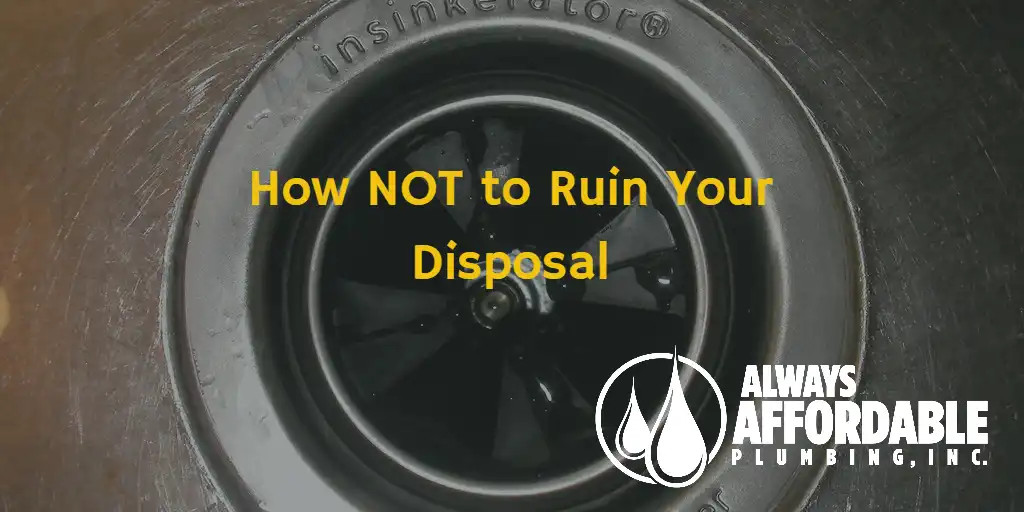 Best Plumber Tips: Foods to Keep Out of Your Garbage Disposal