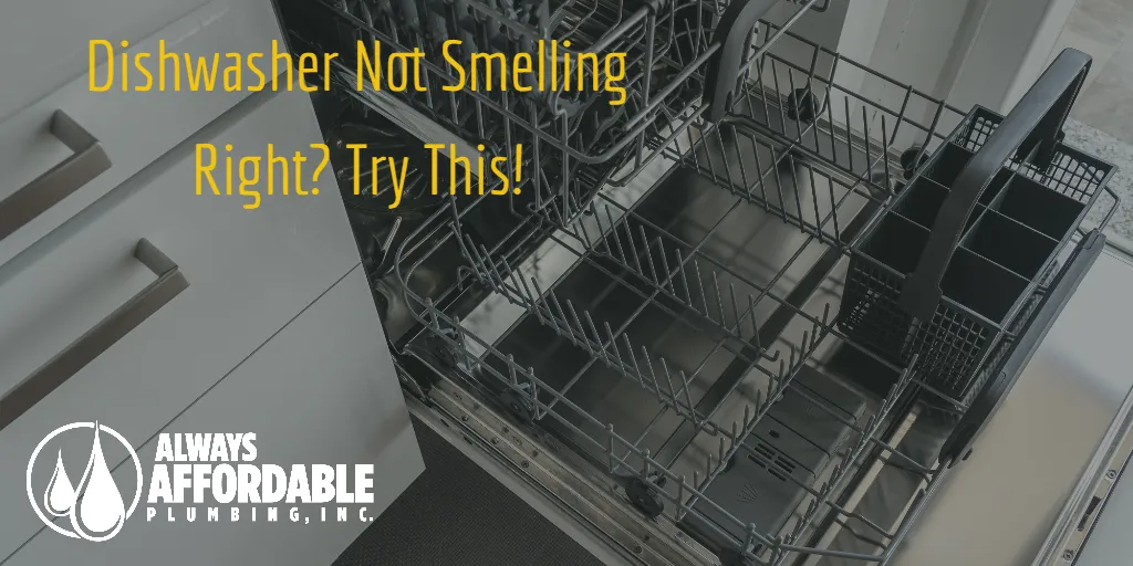 Bad Smell Coming From Your Dishwasher? You Should Check This!