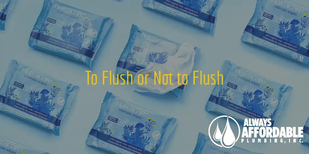 Are Flushable Wipes REALLY Flushable?? | Sacramento Plumber Drain Cleaning