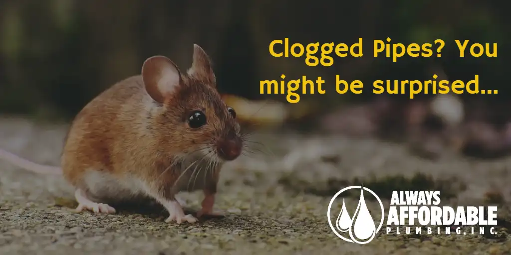 Beware Uninvited Visitors and Clogged Pipes