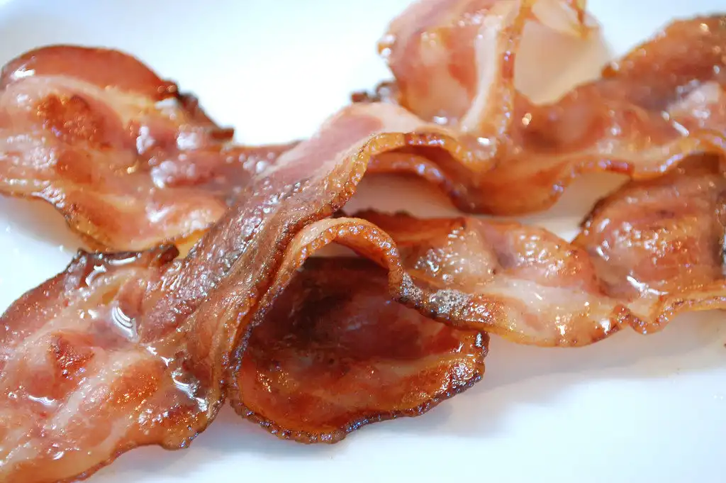 Plumbers Agree: Bacon is Bad …