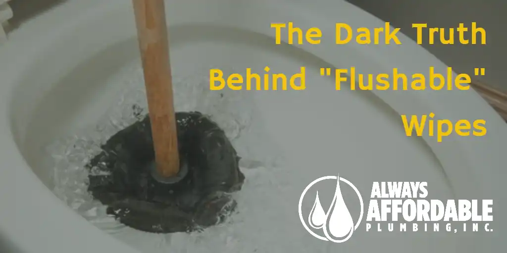 Keep Flushable Wipes Out of Your Pipes
