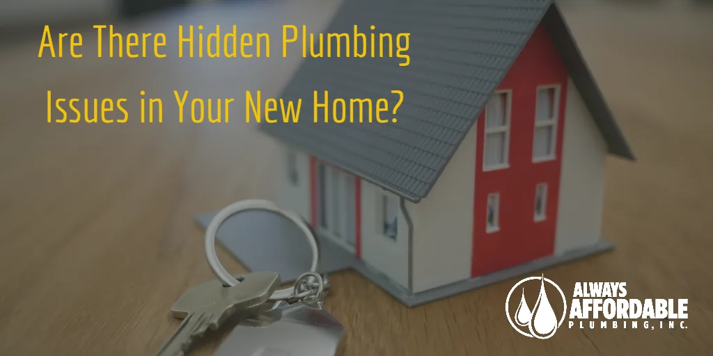 Do This Before You Buy a Home!! Best Fairfield Plumber Tips