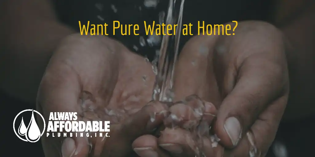 Best Water Filtration Options for Your Home