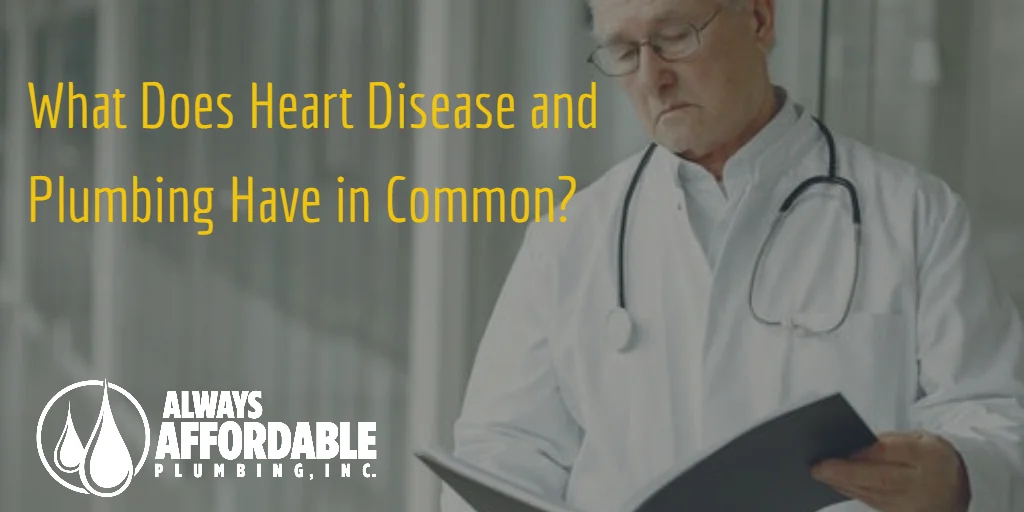What a Cardiologist Taught Me About My Plumbing