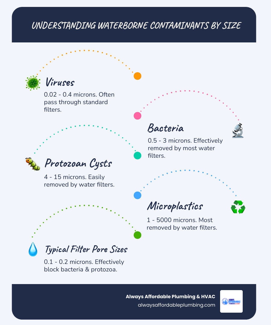 infographic showing relative sizes of waterborne contaminants: viruses at 0.02-0.4 microns, bacteria at 0.5-3 microns, protozoan cysts at 4-15 microns, and microplastics at 1-5000 microns, with filter pore sizes marked for comparison - personal water treatment systems infographic infographic showing relative sizes of waterborne contaminants: viruses at 0.02-0.4 microns, bacteria at 0.5-3 microns, protozoan cysts at 4-15 microns, and microplastics at 1-5000 microns, with filter pore sizes marked for comparison - personal water treatment systems infographic