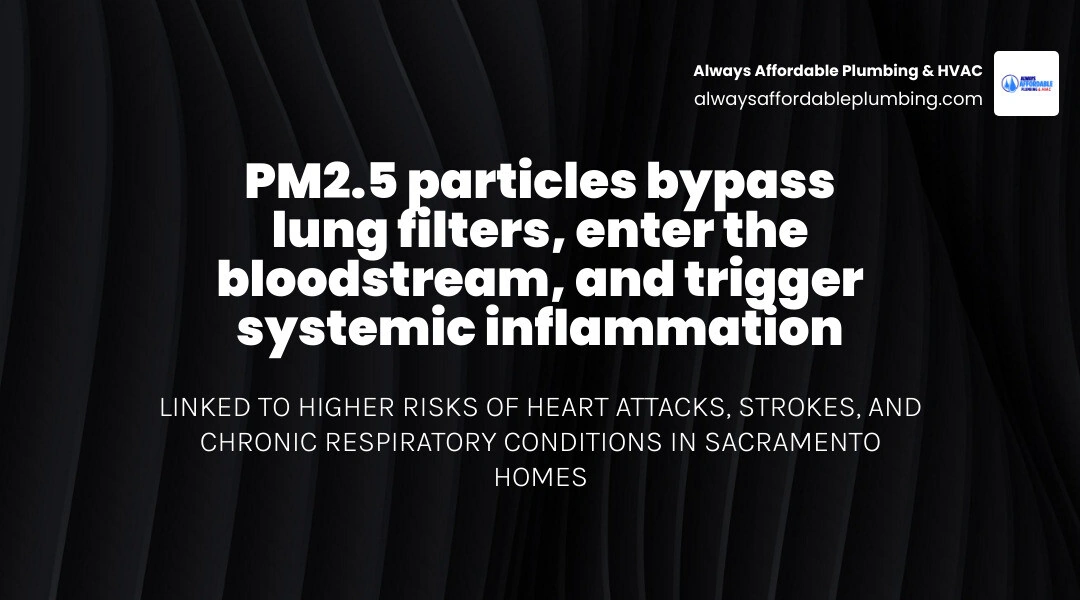 infographic showing how PM2.5 particles travel from indoor air into lungs and bloodstream, with key health and comfort