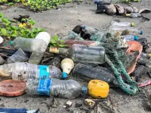Top-4 Dirty Truths About Bottled Water  
