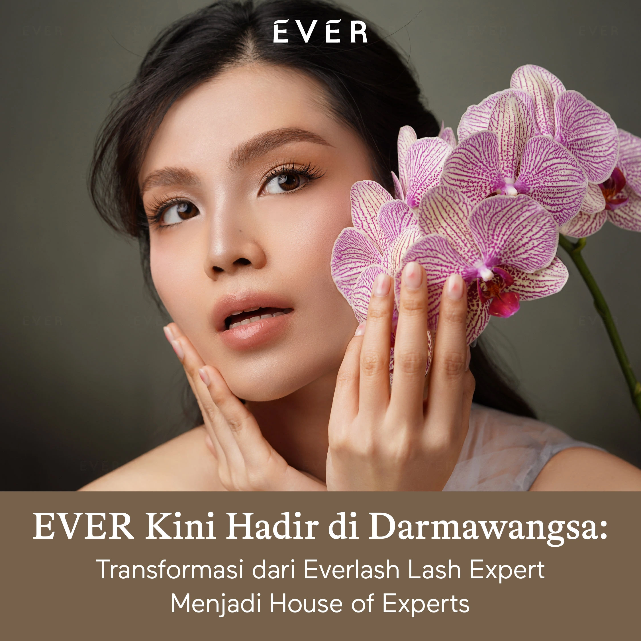https://www.ever.co.id/post/ever-kini-hadir-di-darmawangsa-transformasi-dari-everlash-lash-expert-menjadi-house-of-experts