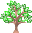 Site Icon