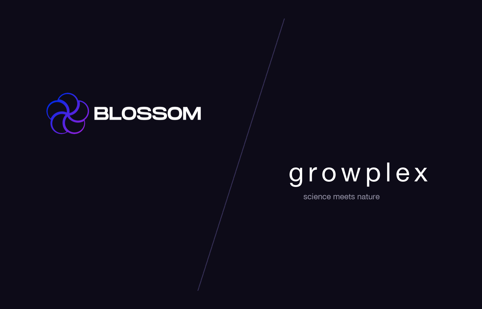 Growplex — strategy image