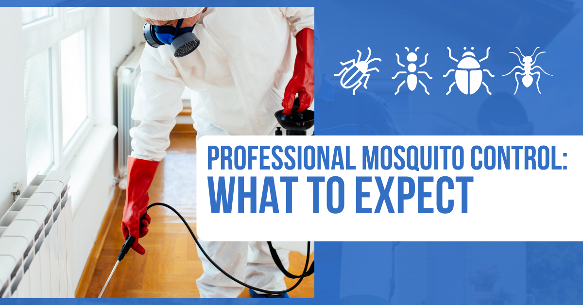 Professional Mosquito Control: What to Expect