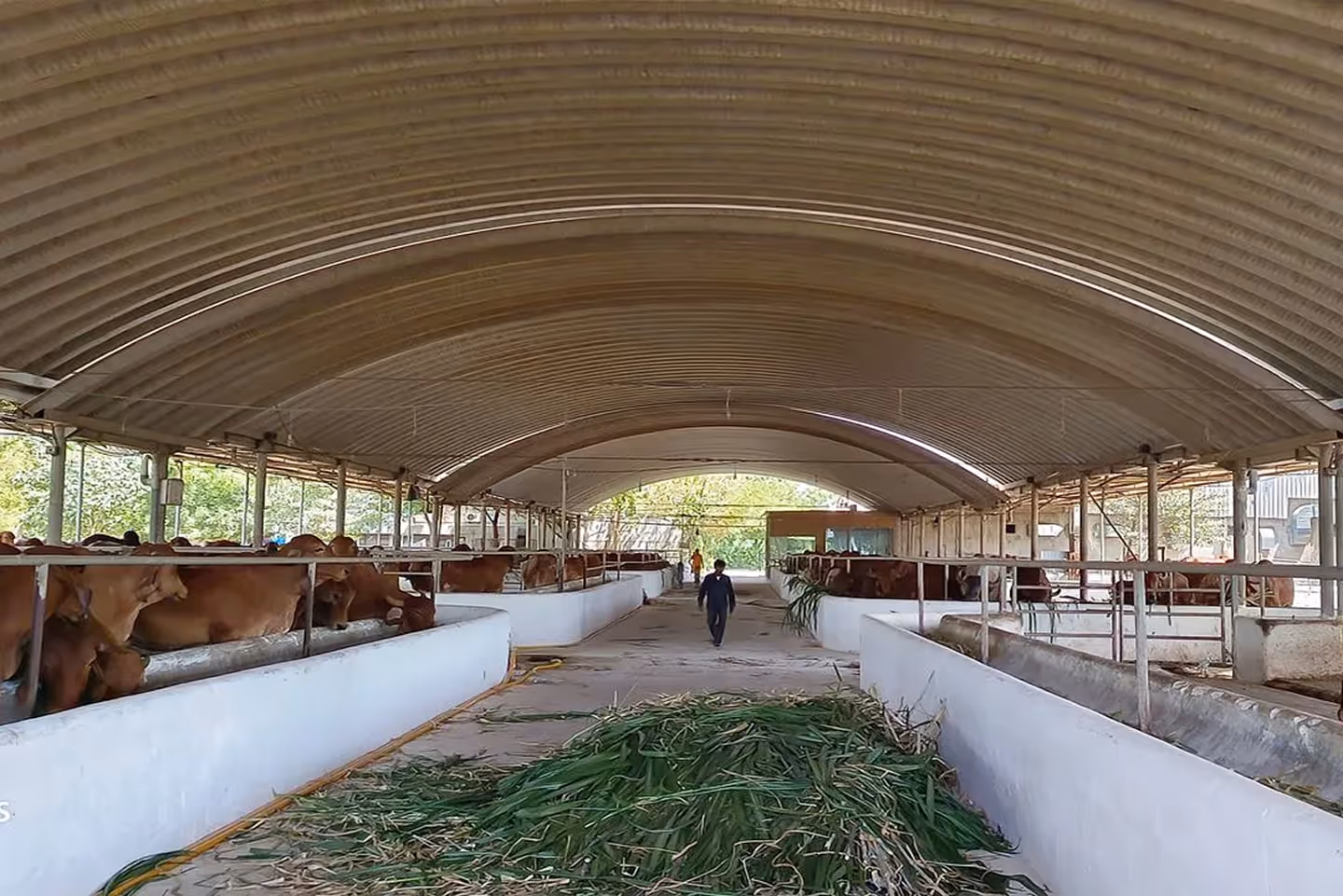 Corrugated steel roofing for dairy plant by Proflex