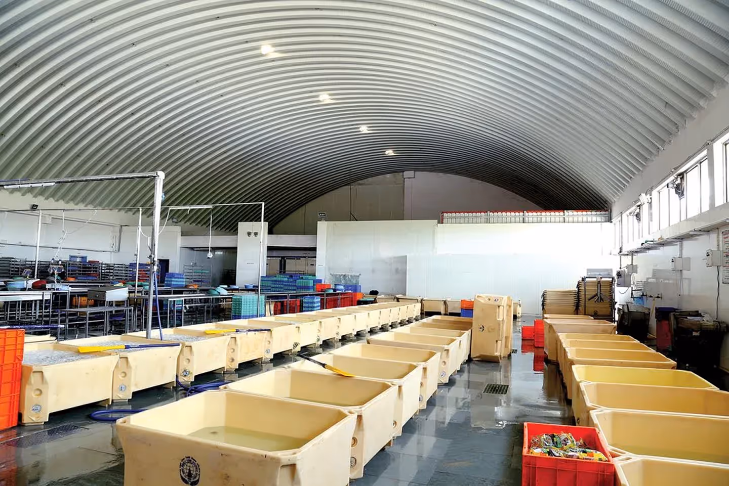 Proflex self-supported steel roofing installed at a food and beverage facility in India