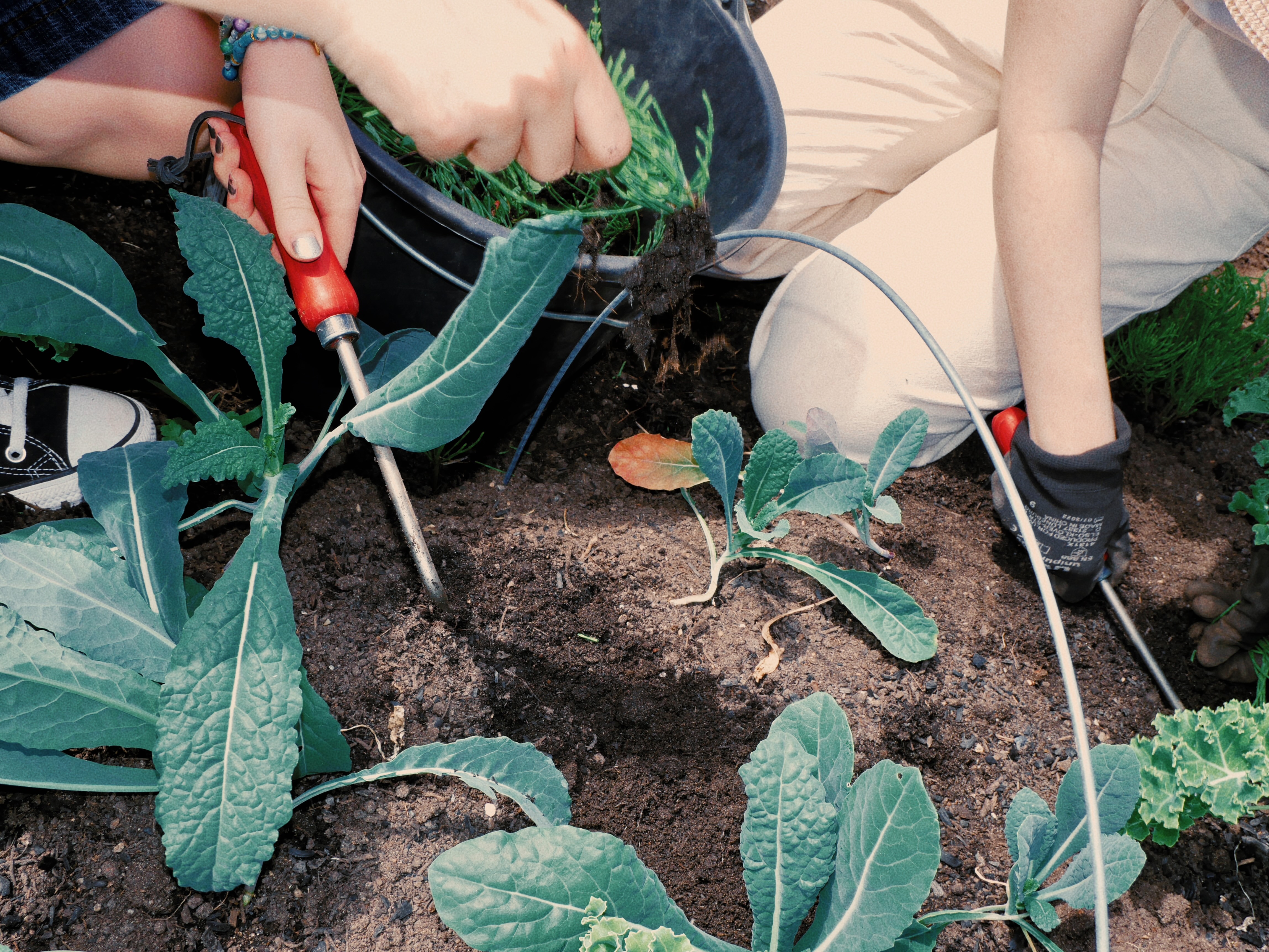 Afterwork Gardening #4