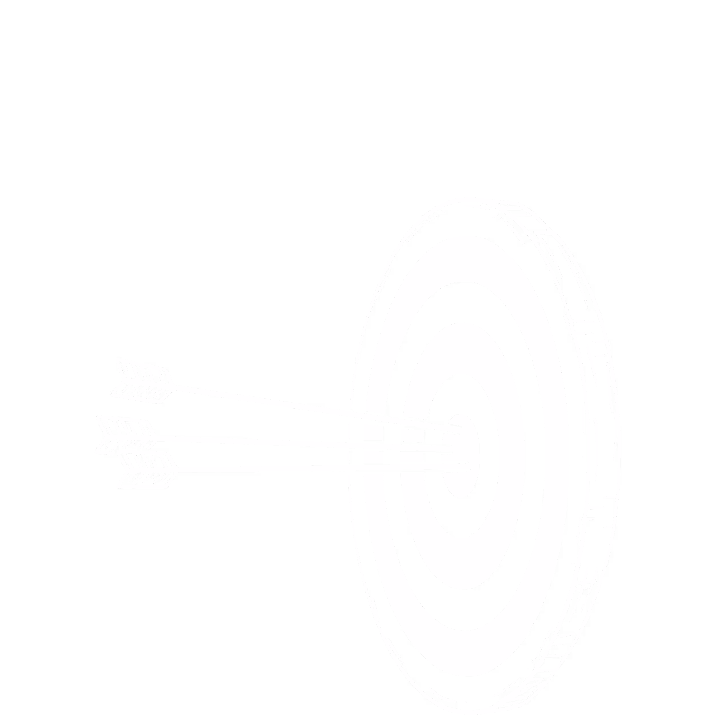 Target with arrows in senter