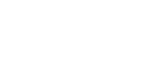 Business Punk Logo