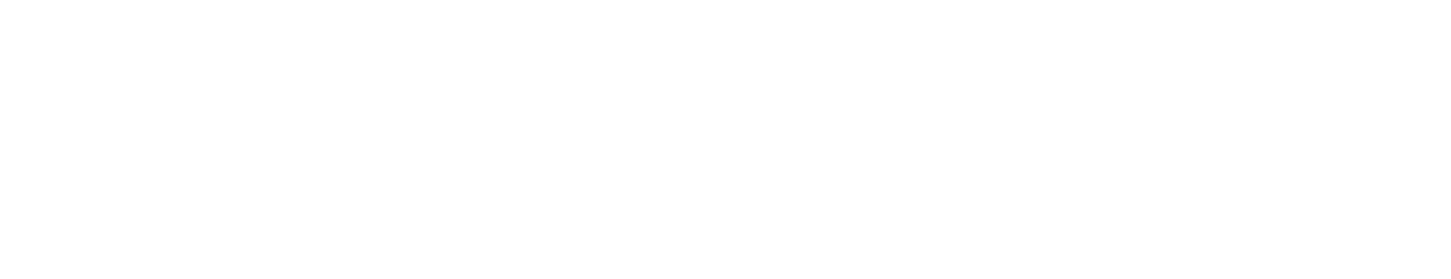 weinsanto logo