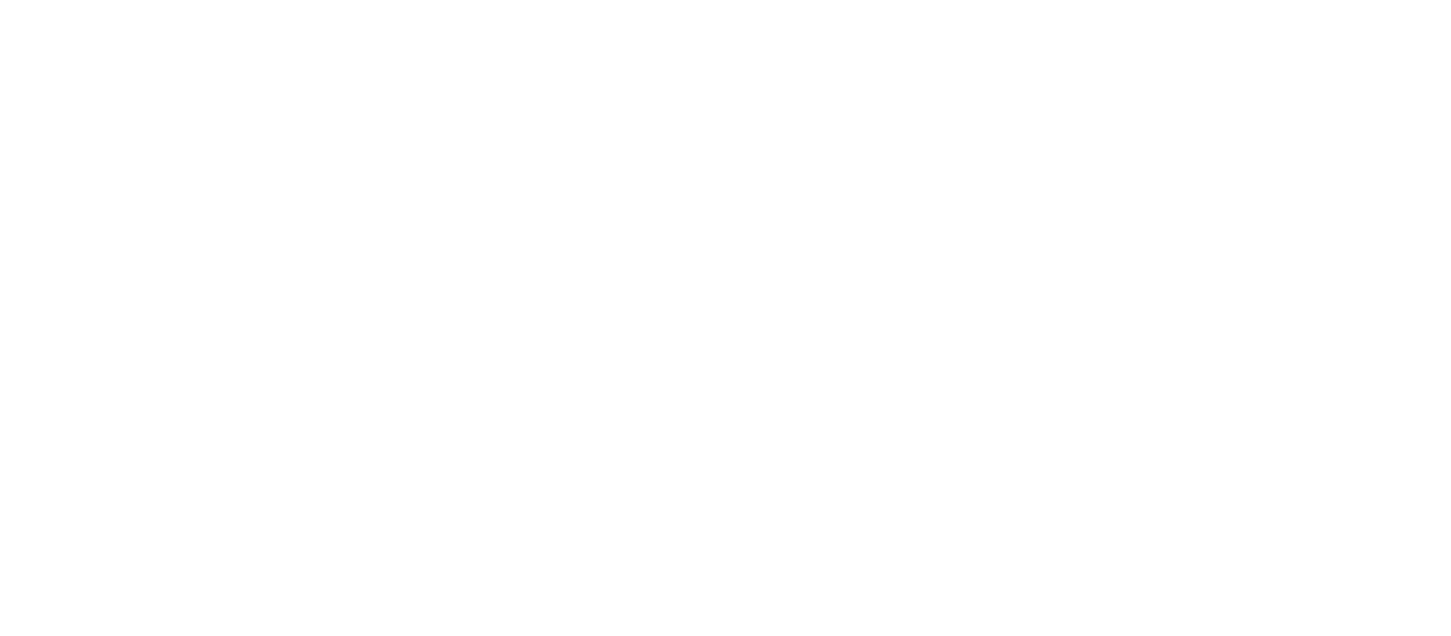 Zili logo