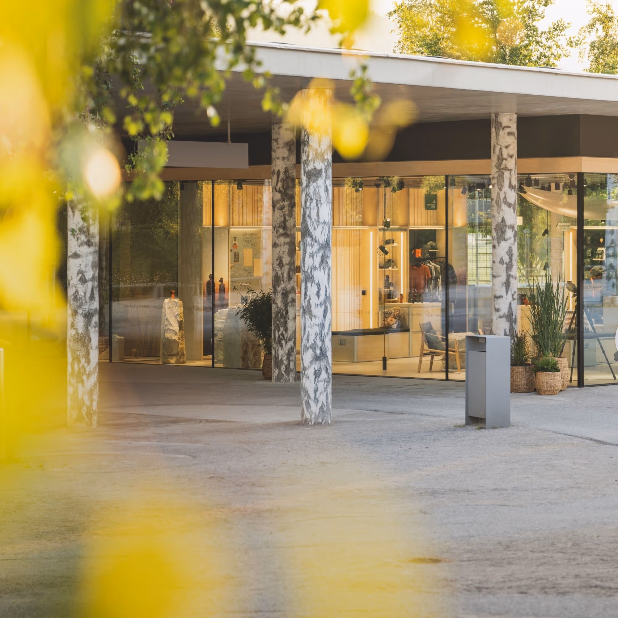 Exterior view of the Swarovski Optik Store at Swarovski Kristallwelten — modern glass building with open shop windows and natural design between birch trunks.