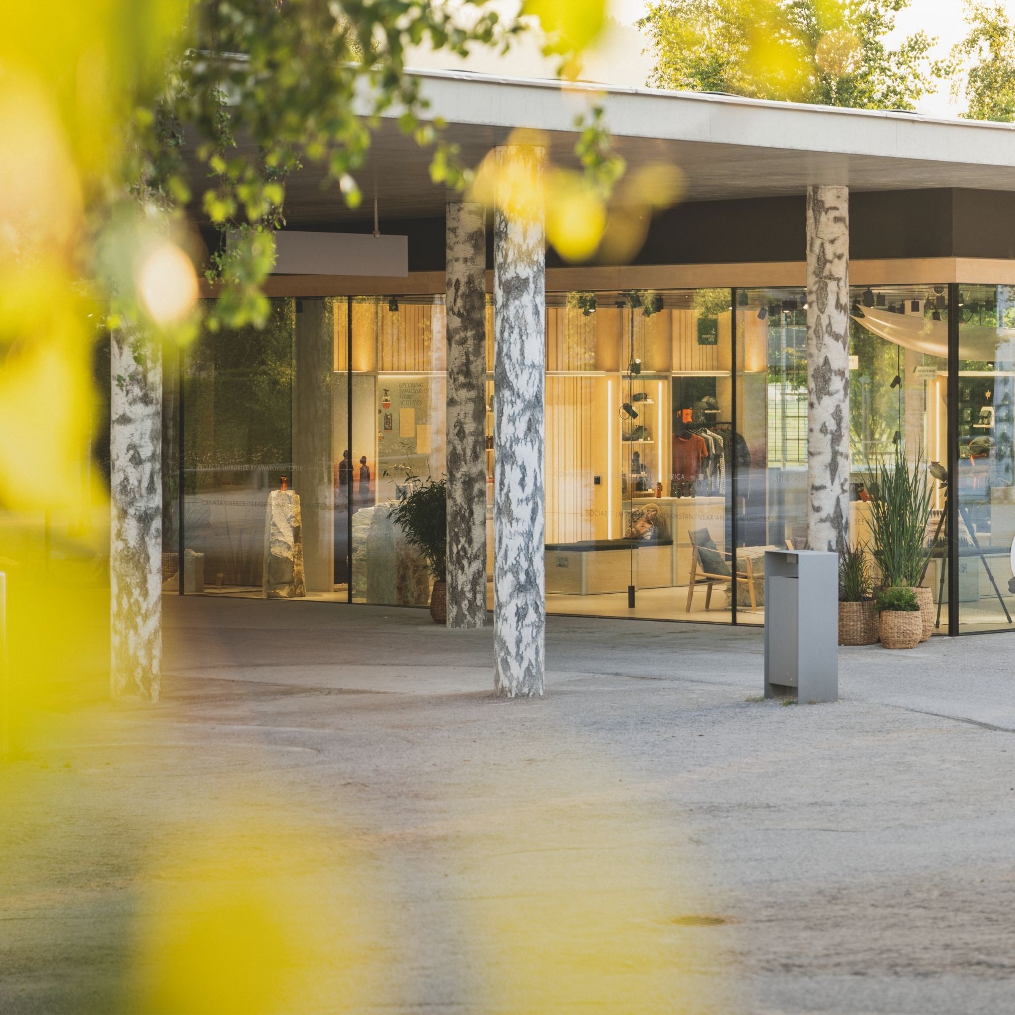 Außenansicht des Swarovski Optik Store in den Swarovski Kristallwelten – modernes Glasgebäude mit offenen Schaufenstern und natürlicher Gestaltung zwischen Birkenstämmen.