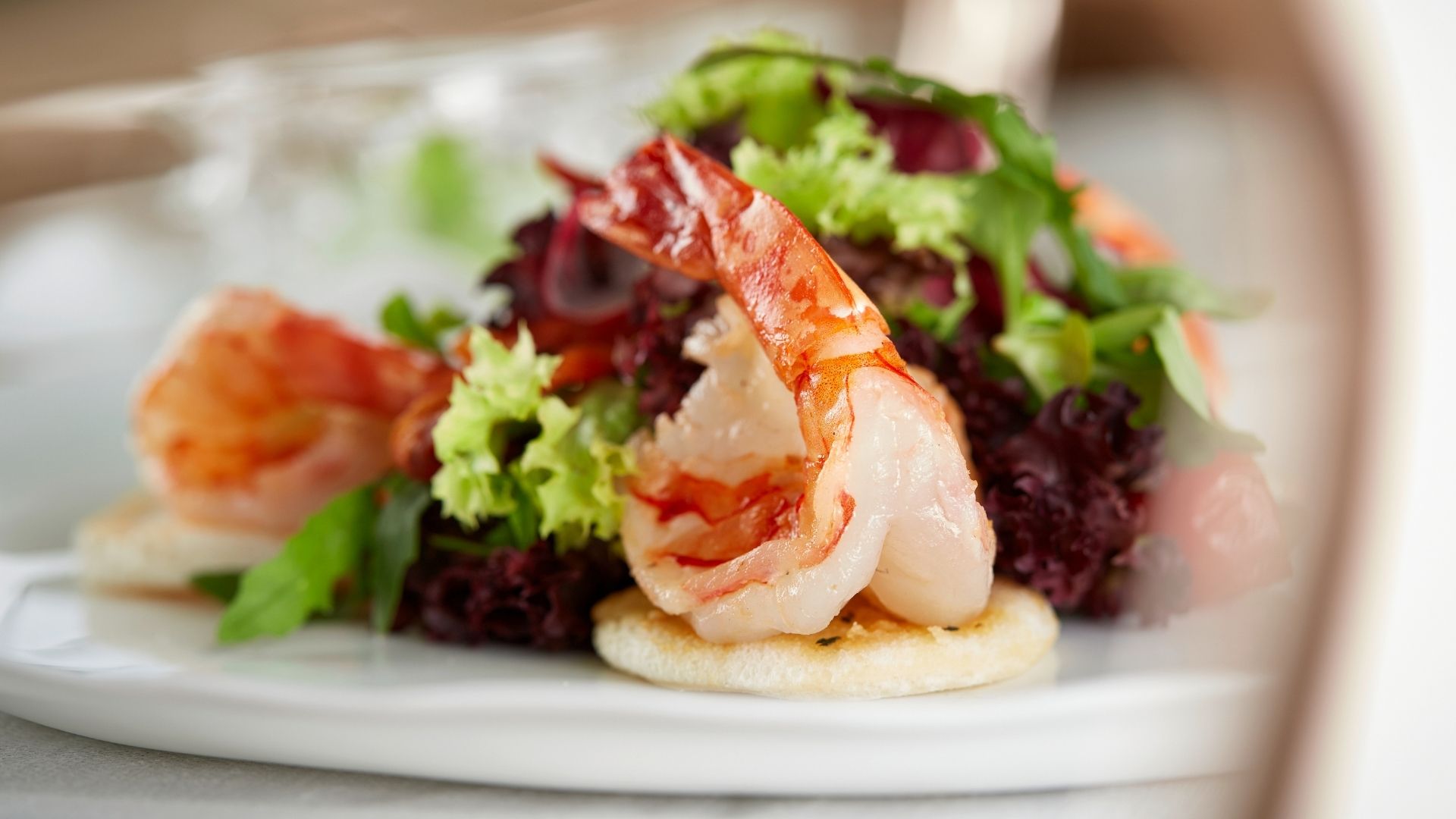 Fein angerichtetes Garnelengericht auf knusprigem Cracker mit frischem Salat im Restaurant Daniels Kristallwelten by DoN in den Swarovski Kristallwelten Wattens.