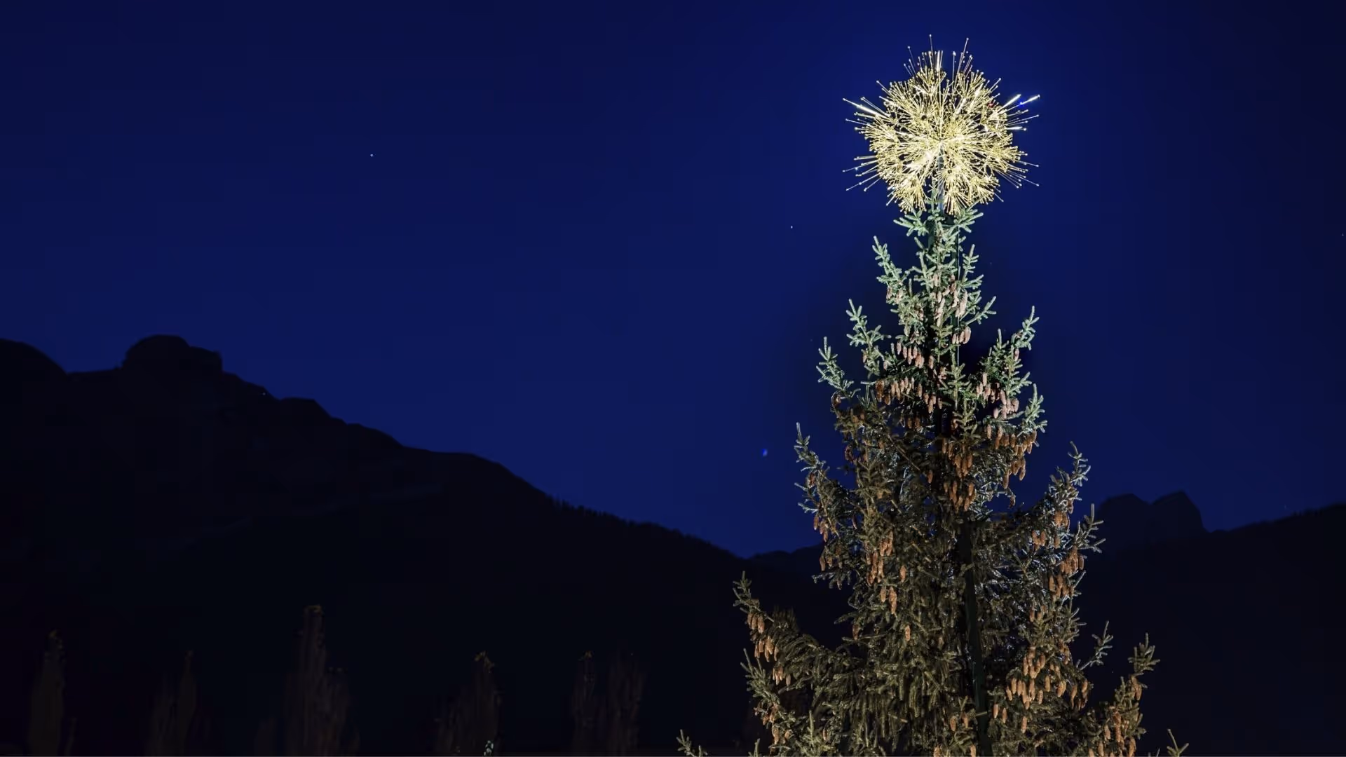 Große Tanne mit funkelndem „Crystal Star“ von Tord Boontje als Baumspitze in den Swarovski Kristallwelten.