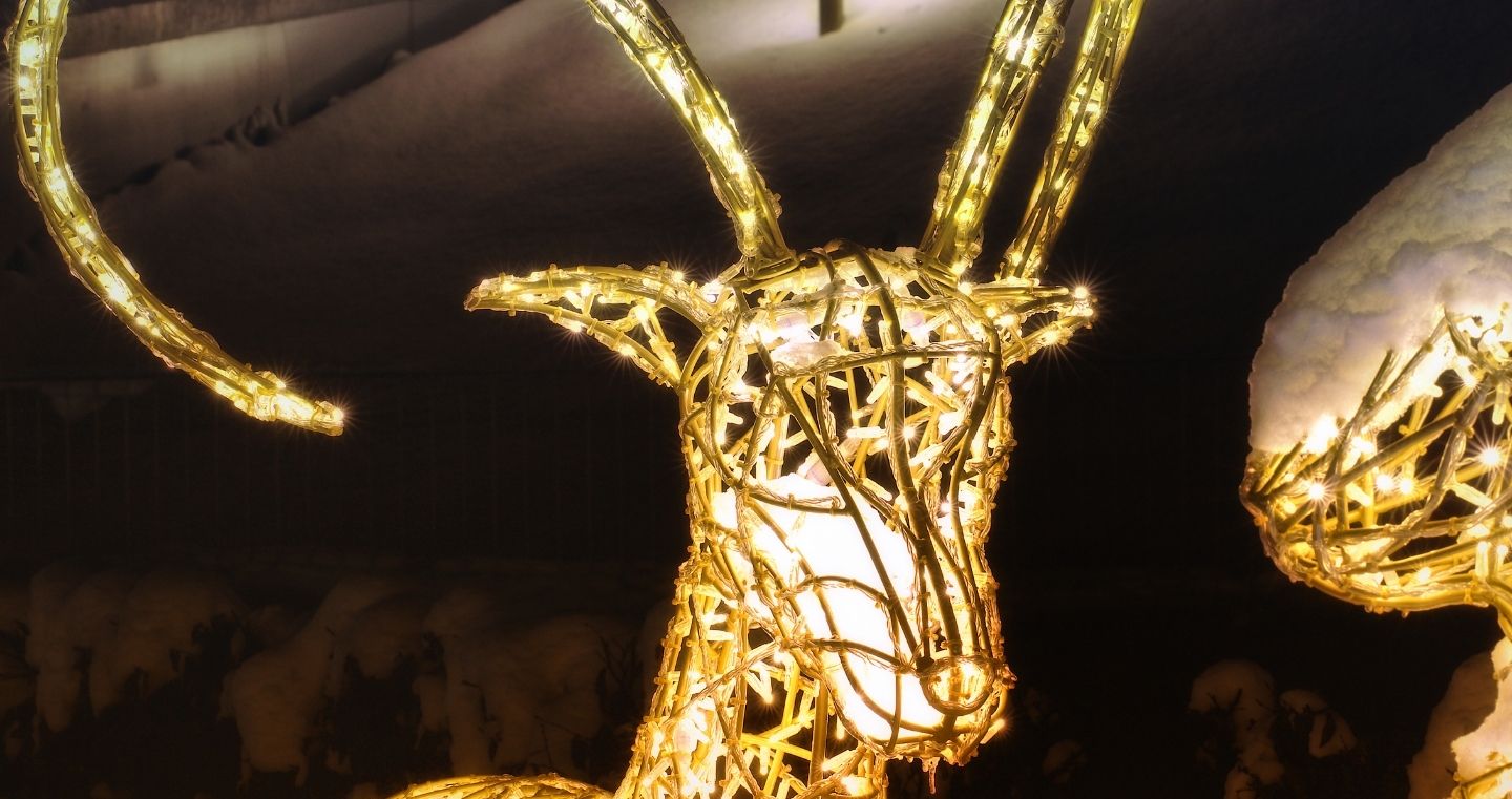 Illuminated animal figure with long horns in the winter parkland of Swarovski Kristallwelten's Winter Wonderland.