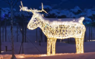 A snow-covered, illuminated reindeer figure glows in the snowy winter landscape of the Winter Wonderland at Swarovski Kristallwelten.