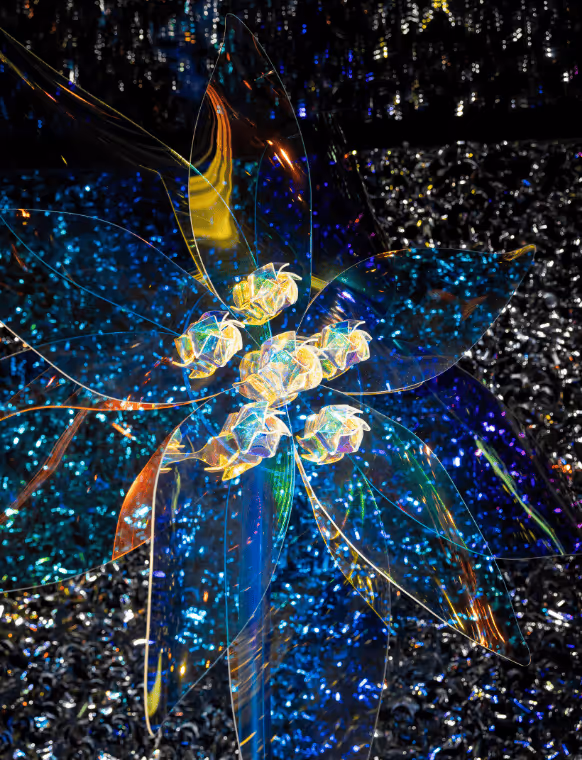 In the third showcase in the store, we see two large size Edelweiss with Aurora Borealis Shimmer effect. They are surrounded with a faceted metallic decor that plays with reflections.