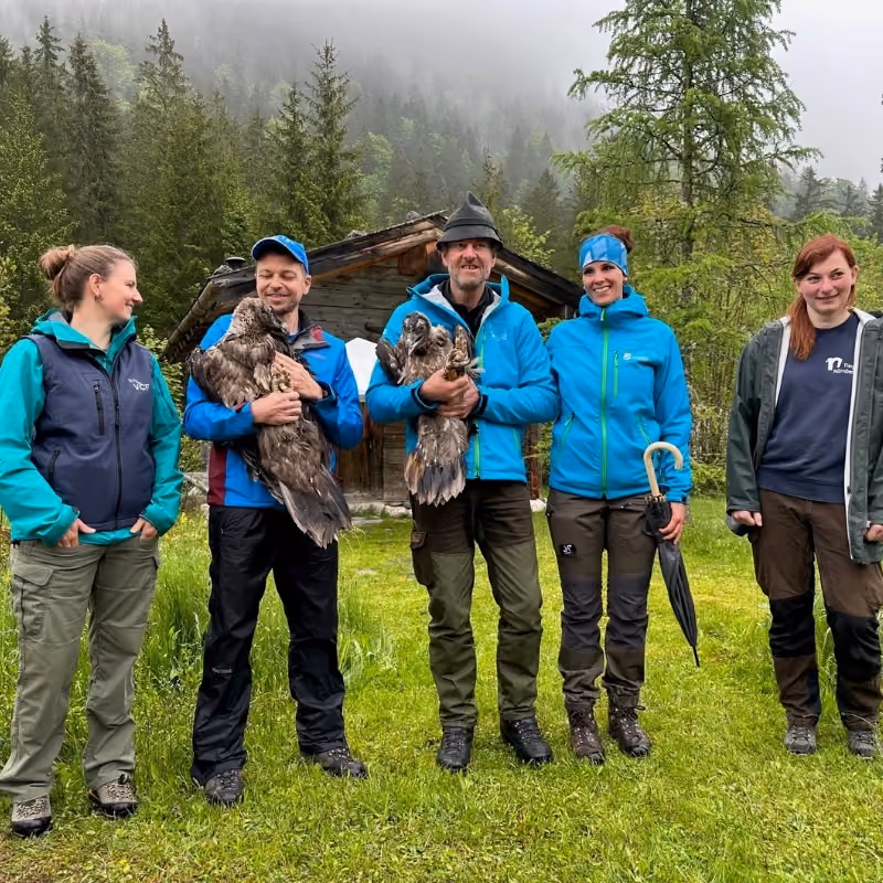 Five people with two large birds of prey in front of a mountain hut in a forest clearing; thick coniferous forest and fog in the background.