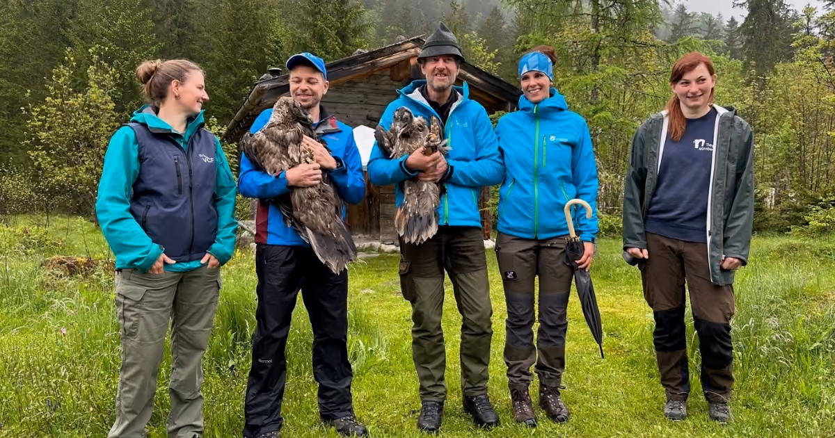 Five people with two large birds of prey in front of a mountain hut in a forest clearing; thick coniferous forest and fog in the background.