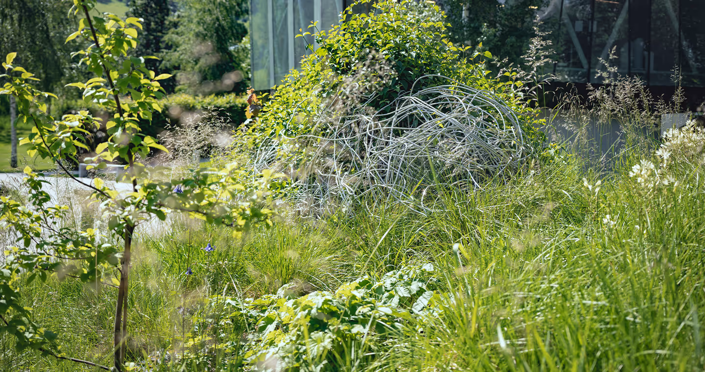 Installation 'Parasites': Organisch geformte Strukturen, durch welche Blumen und Gräser wachsen.
