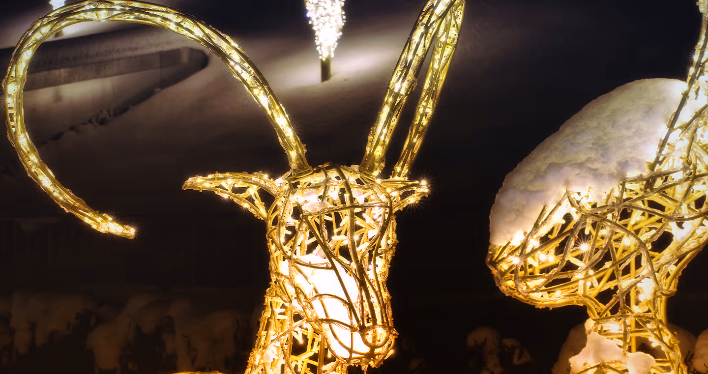 Ein Hirschkopf aus unzähligen Led Lichter, designed von Tord Bootnje.