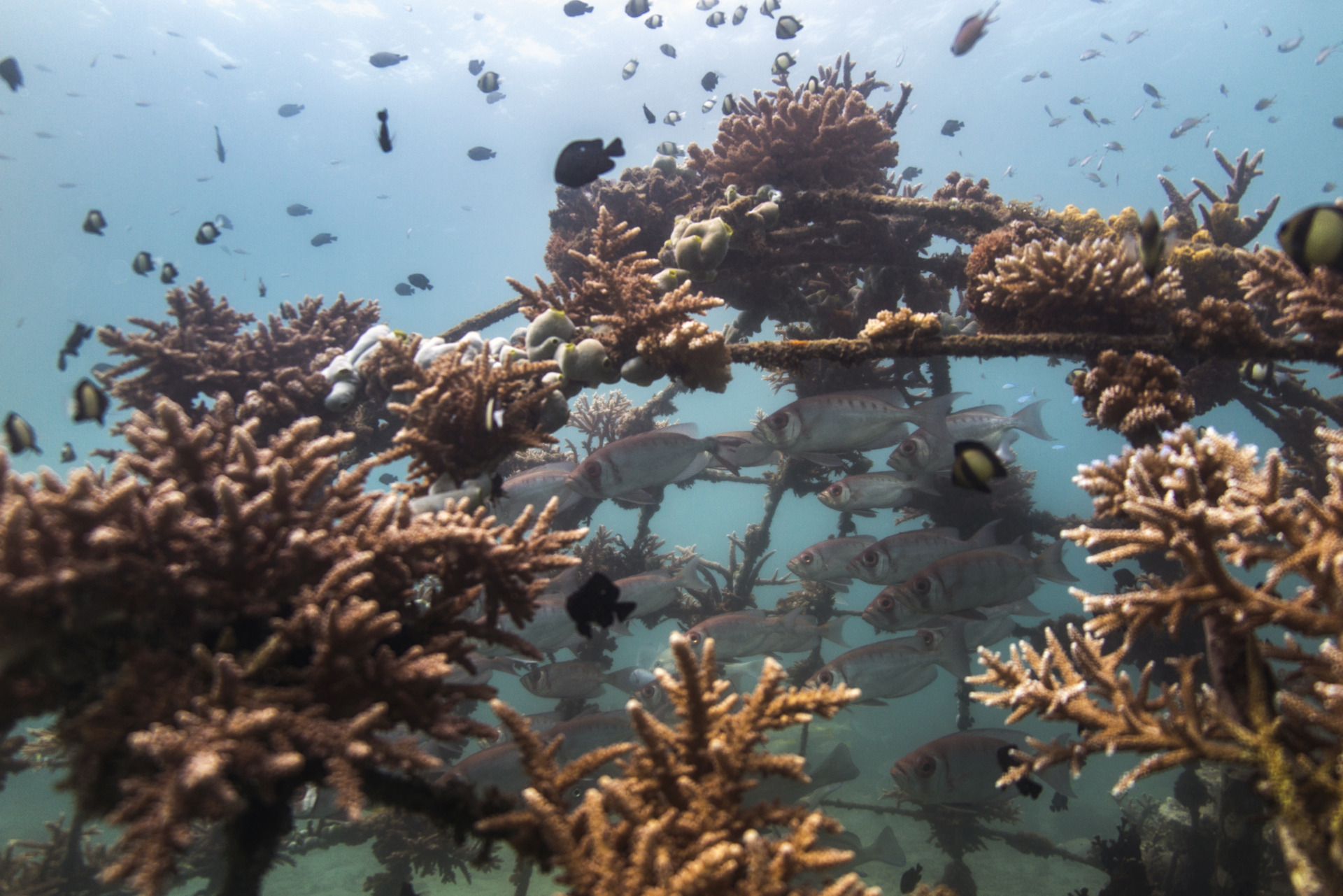 ERC: Marine Ecosystems Community of Practice