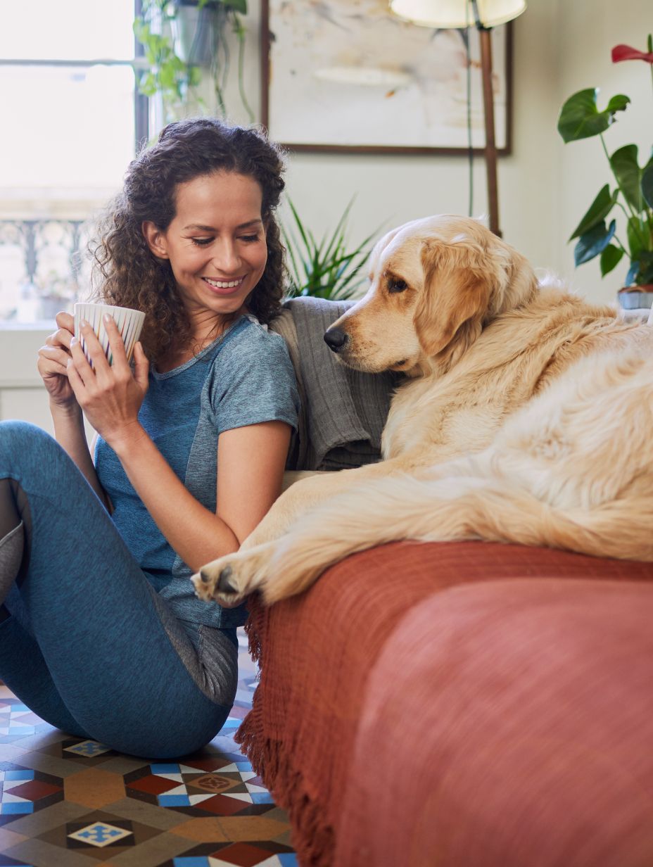 House details picture