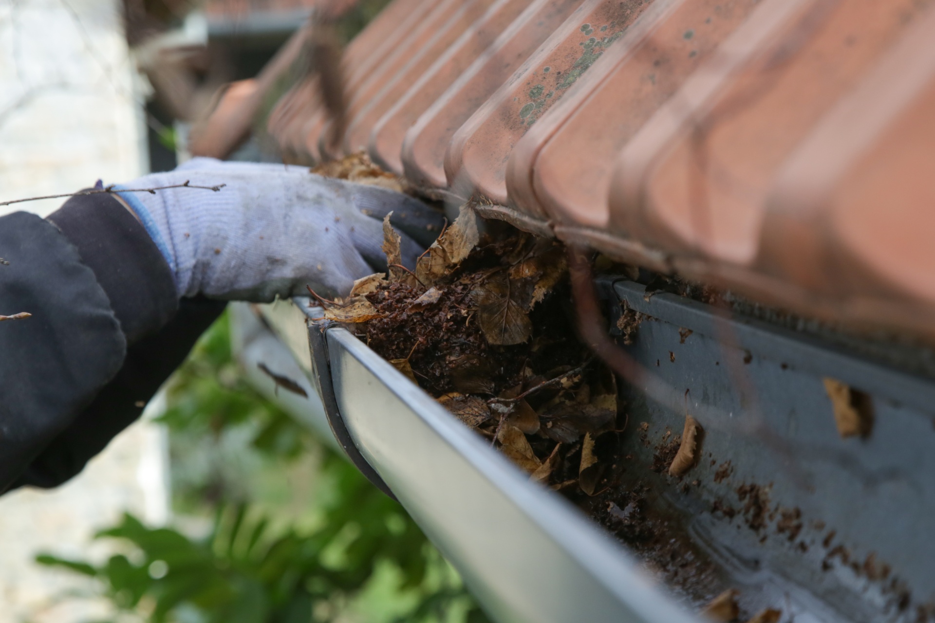 Gutter cleaning services