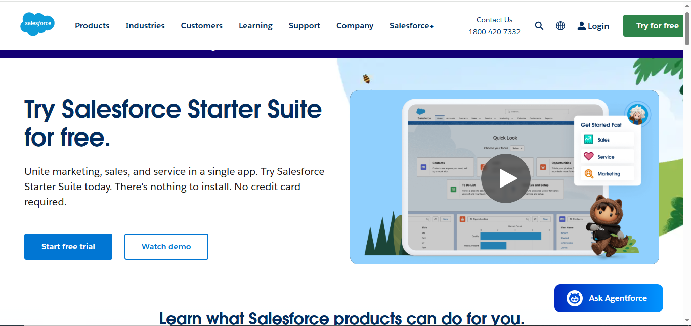 Salesforce home page