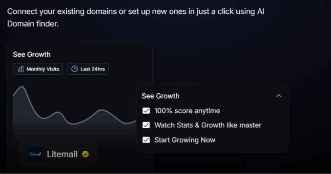 Instant domain setup on LiteMail