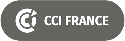 Vinci