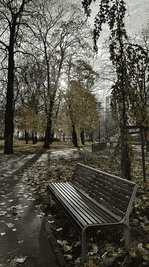 Bank als Symbolbild für Einsamkeit