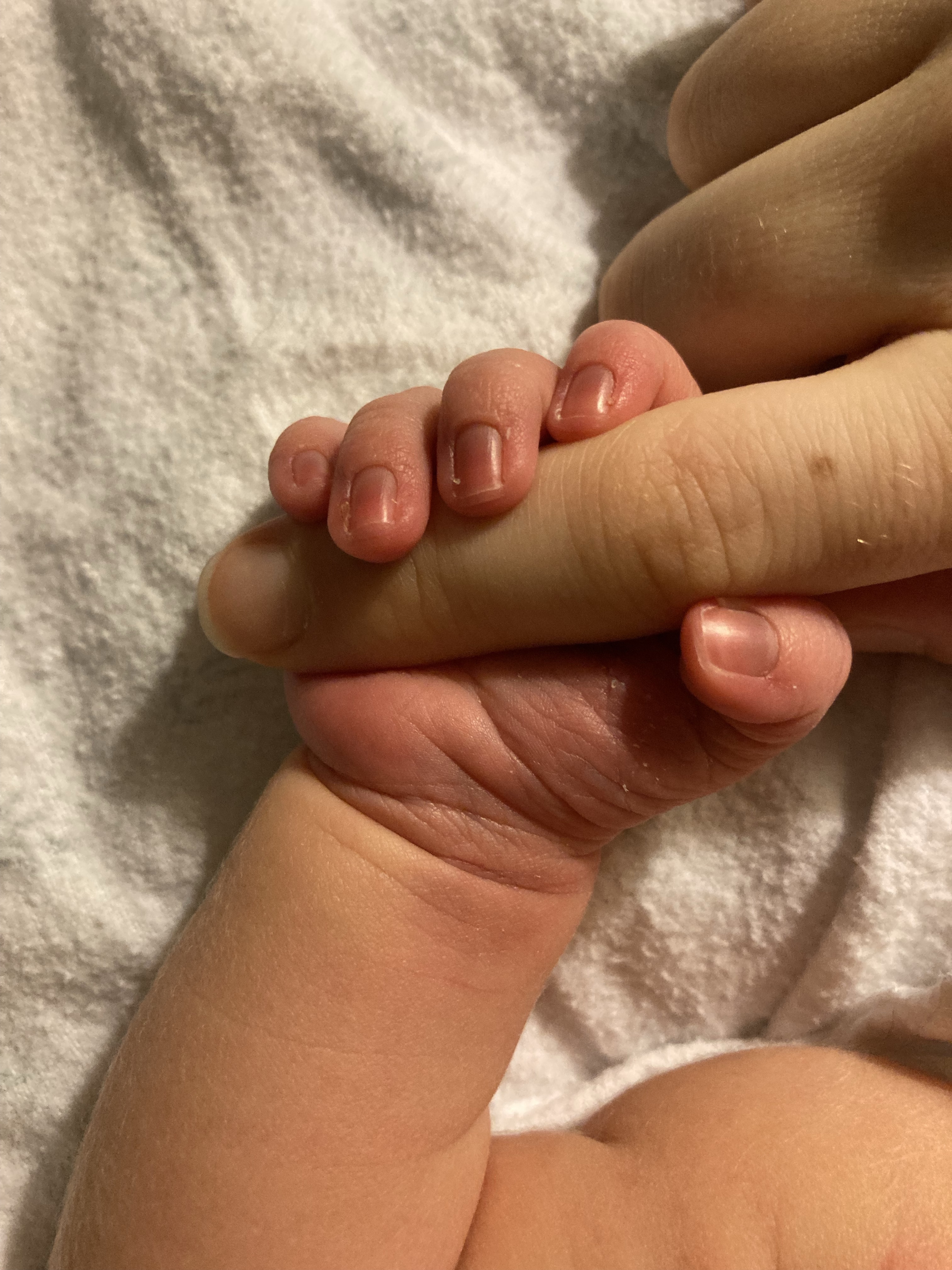 Nahaufnahme einer Babyhand, die fest einen Erwachsenenfinger umschließt – ein Symbol für die intensive Bindung und die Verschiebung der Ressourcen, die Freundschaften in der frühen Elternschaft herausfordern.