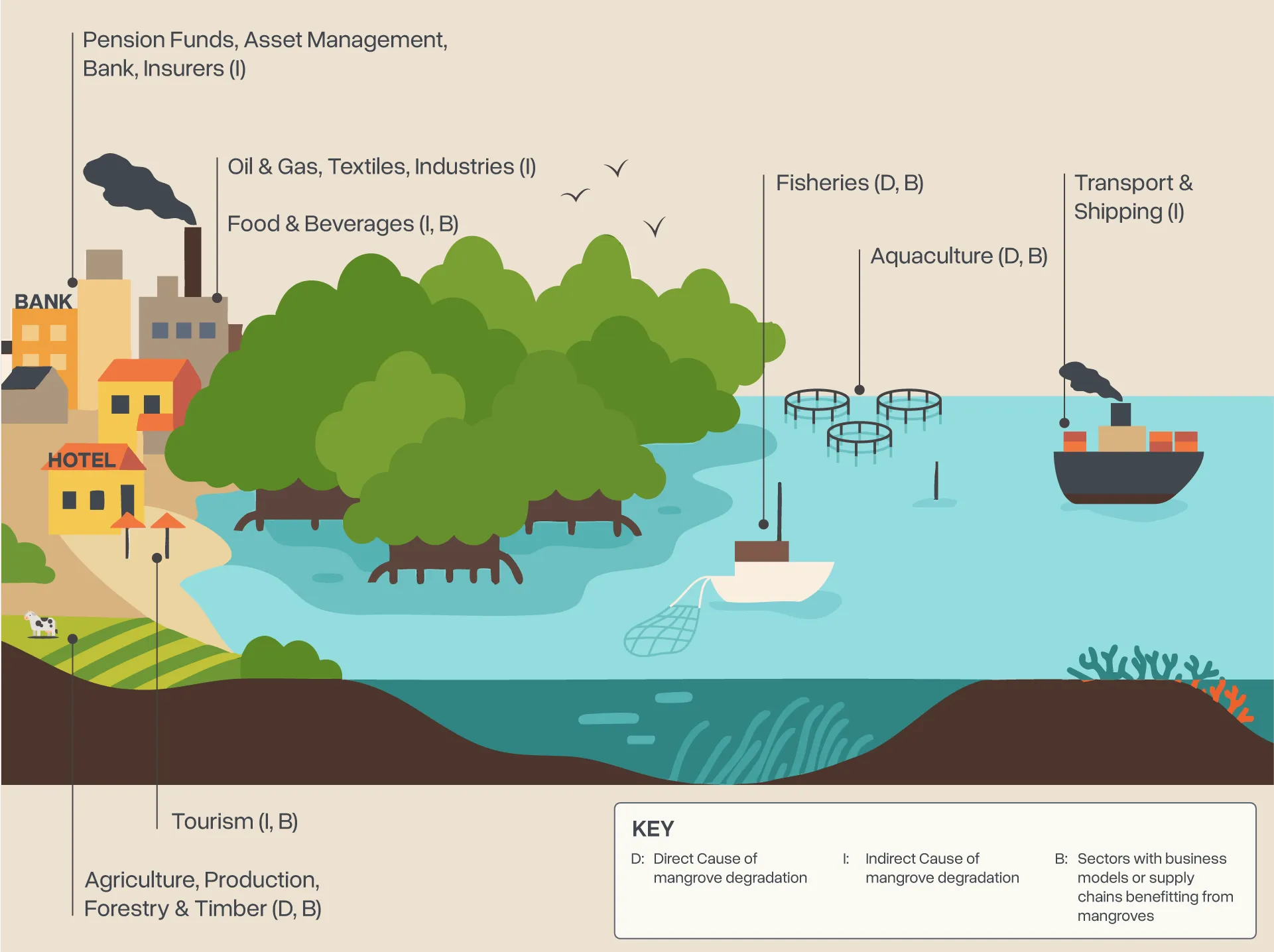 An infographic showcasing the impact of various industries on mangroves.